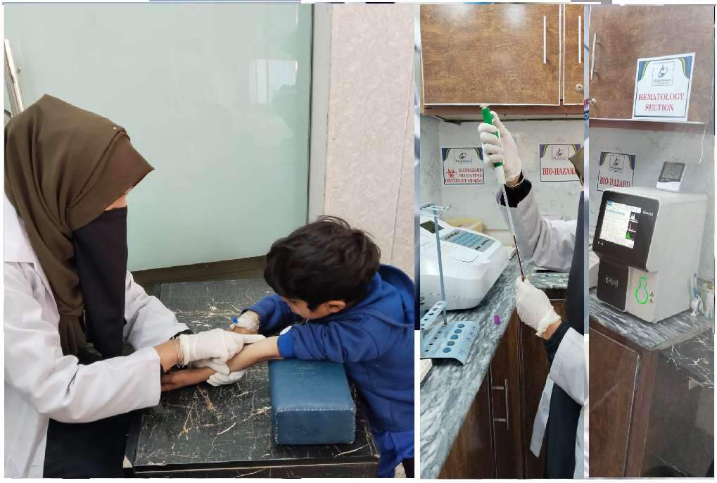 Caring for Your Health with Experience & Heart